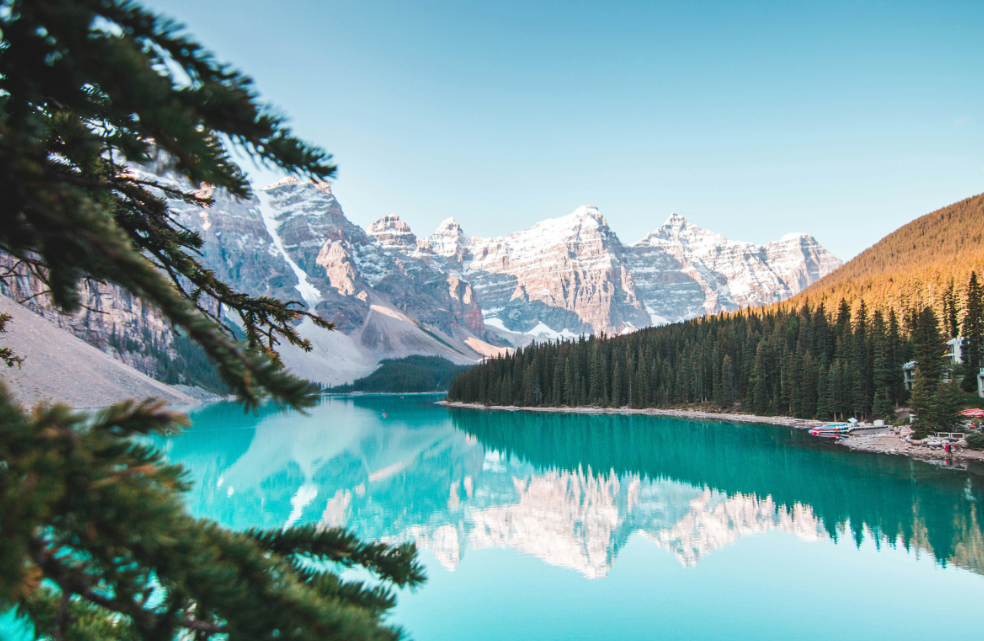 Brand Identity